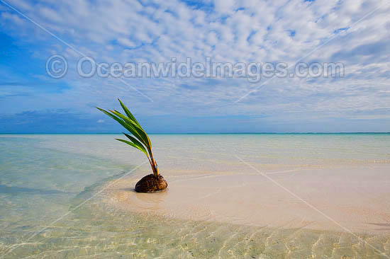 Tropical beach Cocos Islands photo