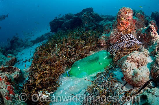 Plastic bottles litter ocean floor photo