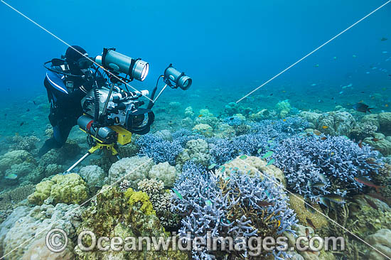 Underwater Cinema Photographer filming photo