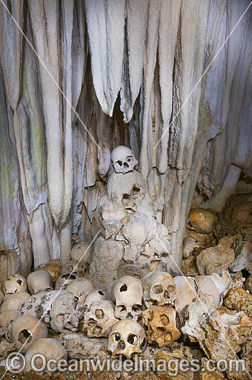 Skulls in Cave photo