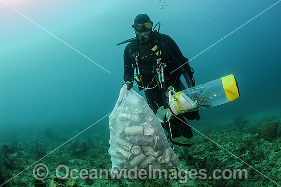 Scuba Diver with garbage photo