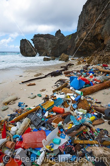 Trash on beach Christmas Island photo