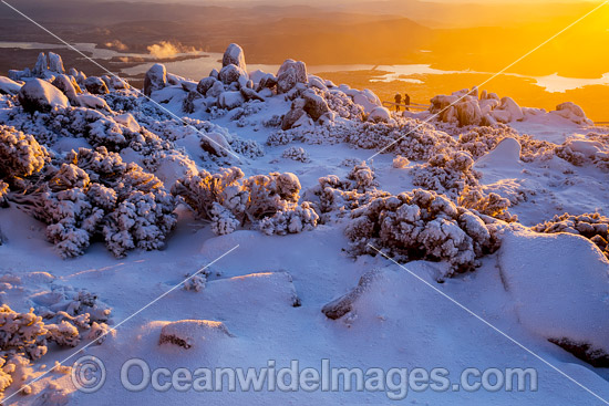 Mount Wellington at sunrise photo