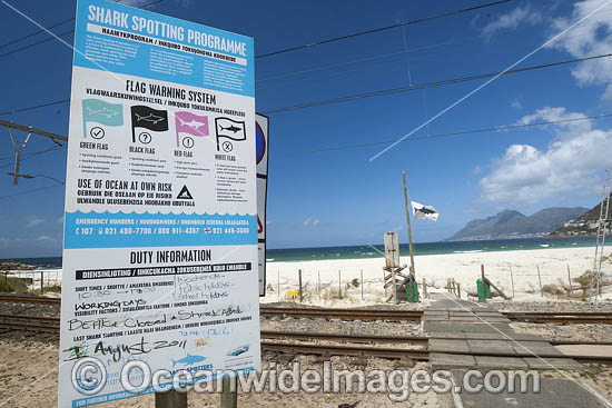 Shark Spotters sign South Africa photo