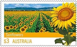 Sunflower Postage Stamp