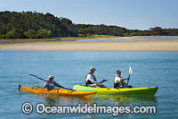 Kayaking on Red Rock estuary. New South Wales, Australia.
