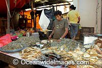 A mix of dried fish on display and ready for sale at a fish market, near Manado, North Sulawesi, Indonesia. Within the Coral Triangle.