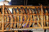 Dried fish on display and ready for sale at a fish market, near Manado, North Sulawesi, Indonesia. Within the Coral Triangle.