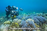 Underwater cinema photographer, David Hannan, filming a coral reef at Milne Bay, Papua New Guinea. Within the Coral Triangle.