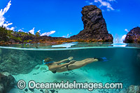 Snorkel diver exploring a tidal rock pool at Christmas Island, Indian Ocean, Australia.