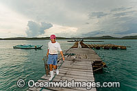 Mr Kazuyoshi Takami, proprietor of Kazu Pearl Farm, attends pearl oyster grids retrieved from beneath floating platforms extending from end and side of farm jetty. Friday Island, Torres Strait, Queensland, Australia