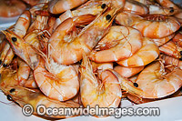 Prawn Seafood dish. Restaurant in Australia