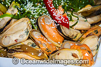 Mussel Seafood dish. Restaurant in Australia