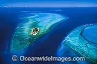 Aerial view of Heron Island and surrounding coral reef, and Wistari Reef. Southern Great Barrier Reef, Queensland, Australia