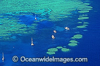 Aerial view of Bait Reef dive site near Hayman Island. Great Barrier Reef, Queensland, Australia
