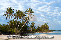 Tropical coconut palm beach and lagoon. Cocos (Keeling) Islands, Indian Ocean, Australia