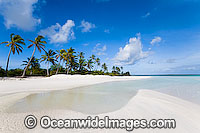 Tropical coconut palm fringed beach and crystal lagoon water. Cocos (Keeling) Islands, Indian Ocean, Australia