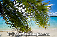Tropical beach and crystal lagoon water framed by coconut palm fronds. Cocos (Keeling) Islands, Indian Ocean, Australia