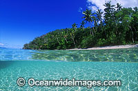 Coastal Seascape. Underwater seascape and coconut palm beach. Fijian Islands