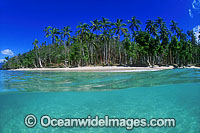 Coastal Seascape. Underwater seascape and coconut palm beach. Fijian Islands