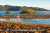 Beach combing during low tide at Hayman Island, Whitsunday Islands, Queensland, Australia