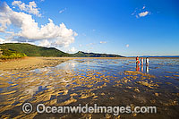 Beach combing on the sand flats during low tide at Hayman Island, Whitsunday Islands, Queensland, Australia