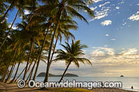 Sunrise at Palm Cove, situated near Cairns, Queensland, Austrealia.