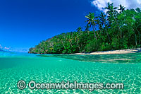 Half under and half over water picture of coconut palm fringed tropical island beach. Fijian Islands