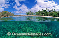 Half under and half over water picture of palm fringed tropical island beach and Acropora Coral reef. Fijian Islands