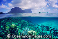 Half under and half over water picture of tropical fish and coral. Lord Howe Island Lagoon, Lord Howe Island, World Heritage National Park, New South Wales, Australia.