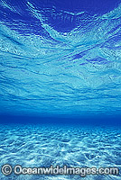 Underwater seascape - sandy sea floor and ocean surface. Coral Sea, Australia