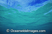 Underwater seascape -ocean and surface. Coral Sea, Australia