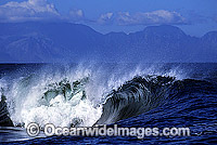 Breaking wave. Indo-Pacific