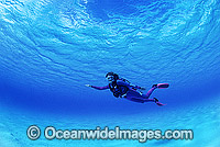 Scuba Diver in clear blue water. Great Barrier Reef, Queensland, Australia.