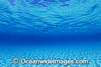 Underwater seascape - sandy sea floor and ocean surface. Coral Sea, Australia.