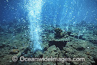 Underwater volcanic vent extruding gases in a stream of bubbles. Milne Bay, Papua New Guinea.