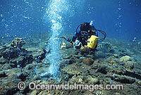 Scuba Diver exploring underwater volcanic vent extruding gases in a stream of bubbles. Milne Bay, Papua New Guinea.