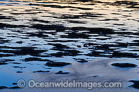 Seascape - sunset reflection on surface. Hayman Island, Whitsunday Islands, Queensland, Australia