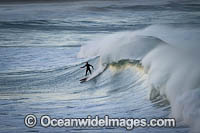 Surfer riding a wave. Creascent Head, New South wales, Australia.