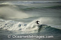 Surfer riding a wave. Creascent Head, New South wales, Australia.