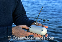 C.S.I.R.O. satelite transmitting device used for tracking Great White Sharks (Carcharodon carcharias). Device is attached to Shark. Australia