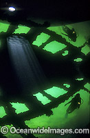 Scuba Diver exploring the inside of HMAS 'Cerberus' shipwreck. Port Phillip Bay, Victoria, Australia
