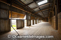 Shearing deck in historic Kinchega Woolshed, built in 1875. Situated in the outback Central Darling district near Menindee, in Kinchega National Park, New South Wales, Australia