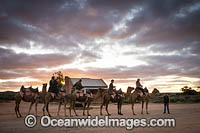 Tourists riding camels during sunset hour in Silverton, outback New South Wales, Australia
