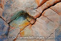 Detail of beach rock. Hayman Island, Whitsunday Islands, Queensland, Australia