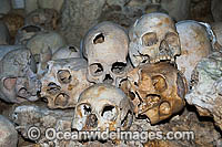 Native human skulls in a limestone cave, situated at Milne Bay, Papua New Guinea.