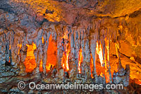 Capricorn Caves, showing limestone stalagtites and stalagmites, known as 