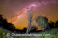 Stars of the night sky, photographed near Uralla, Northern Tablelands, New South Wales, Australia.
