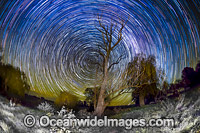 Stars trails of the night sky, photographed during a frost near Uralla, Northern Tablelands, New South Wales, Australia.
