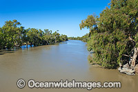 Murray Darling River in flood after heavy northern rains. Photo taken in January 17, 2012 at Menindee, situated in outback New South Wales, Australia.